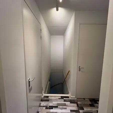 Modern House With 3 Bedrooms 别墅