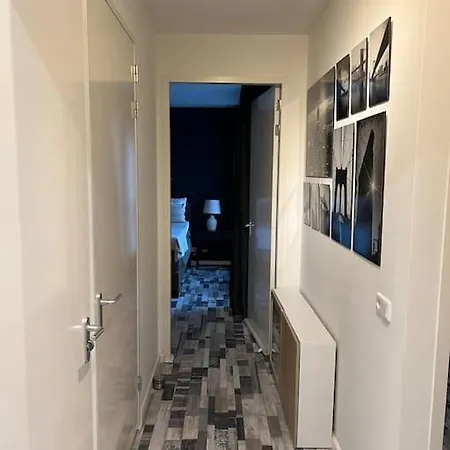 别墅 Modern House With 3 Bedrooms *