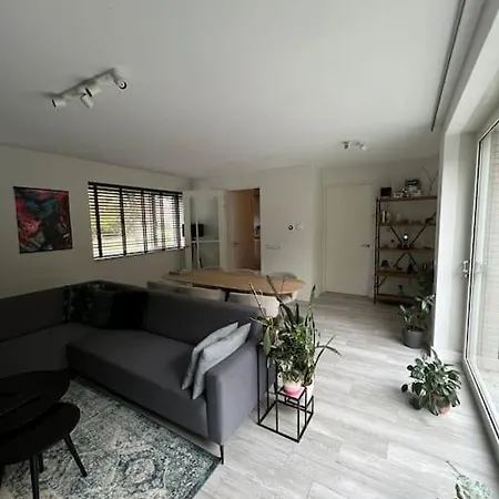 Modern House With 3 Bedrooms