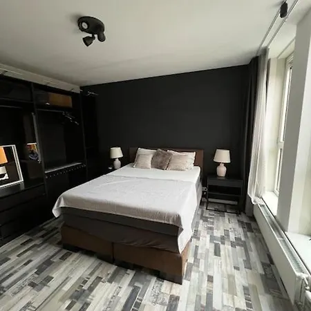 Modern House With 3 Bedrooms